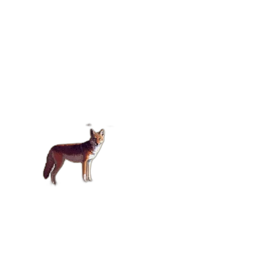 animal, creature, furniture, staff transparent PNG cut-out