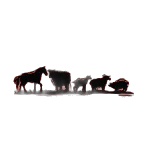 animal, food, hair, weapon transparent PNG cut-out