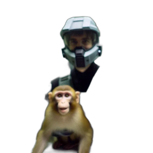 mask, animal, staff, creature transparent PNG cut-out