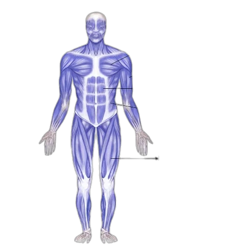staff, robot, concept art, 3d render transparent PNG cut-out