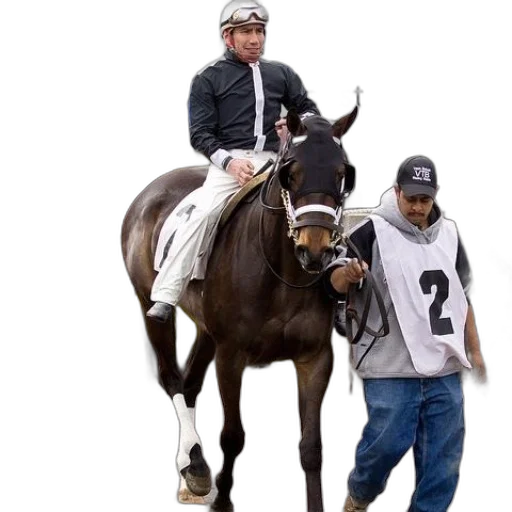 animal, staff, jacket, creature transparent PNG cut-out