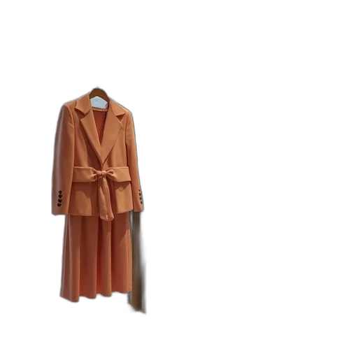 jacket, dress, staff, umbrella transparent PNG cut-out