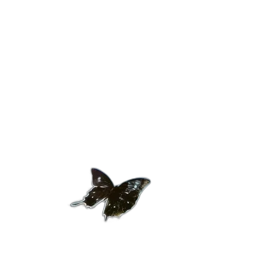 animal, dragon, creature, hat transparent PNG cut-out