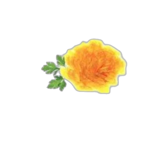 flower, crown, food, hat transparent PNG cut-out