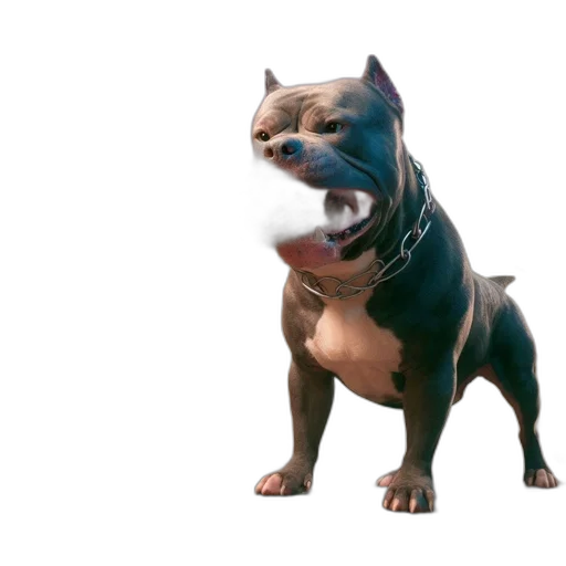 animal, creature, staff, face transparent PNG cut-out