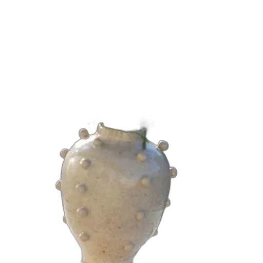 crown, bottle, jewelry, mask transparent PNG cut-out