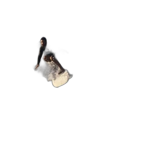animal, creature, shoes, hair transparent PNG cut-out