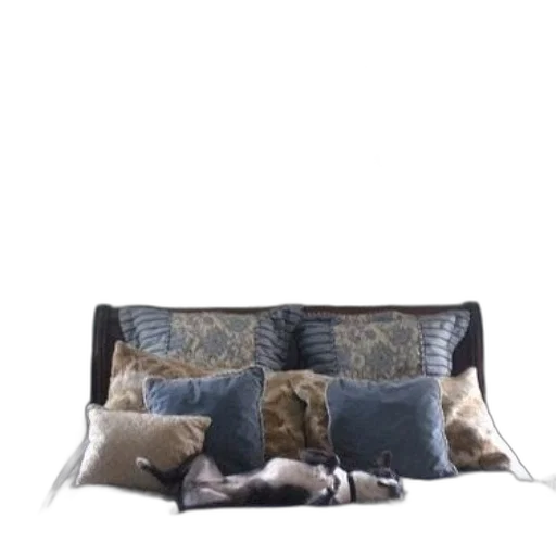 furniture, animal, photorealistic, 3d render transparent PNG cut-out