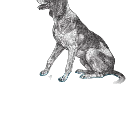 animal, staff, creature, jewelry transparent PNG cut-out