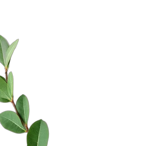 tree, flower, staff, crown transparent PNG cut-out