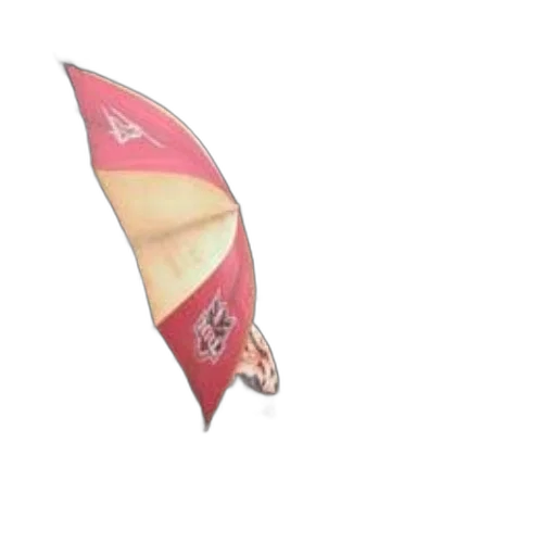 umbrella, staff, shoes, dragon transparent PNG cut-out