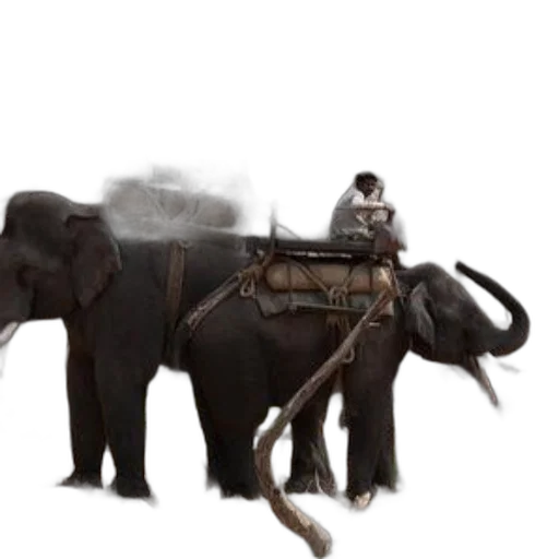 animal, car, staff, creature transparent PNG cut-out