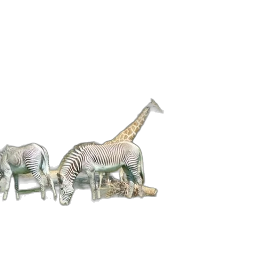 animal, jewelry, 3d render, concept art transparent PNG cut-out