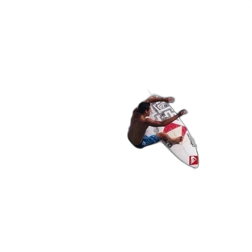 creature, animal, shoes, hair transparent PNG cut-out