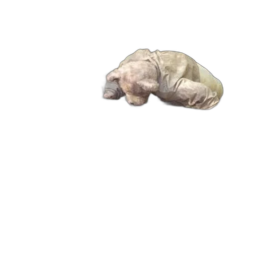 animal, creature, food, mask transparent PNG cut-out