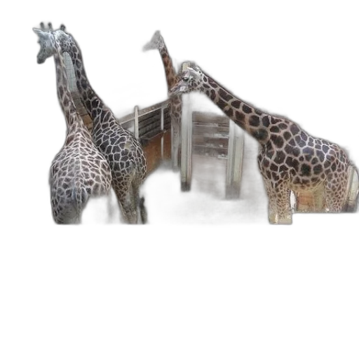 animal, furniture, 3d render, photorealistic transparent PNG cut-out