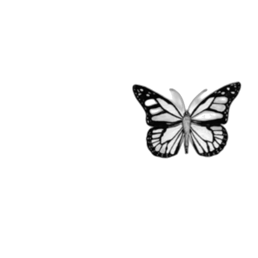 animal, creature, flower, jewelry transparent PNG cut-out