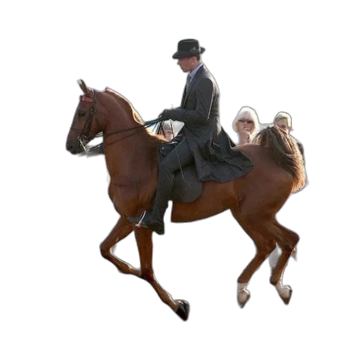 hat, animal, jacket, staff transparent PNG cut-out