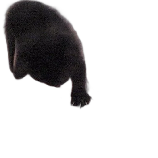 animal, creature, staff, hat transparent PNG cut-out