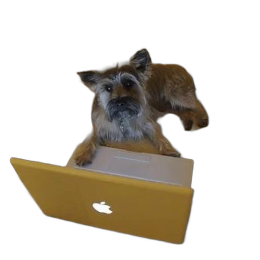 animal, staff, 3d render, small transparent PNG cut-out