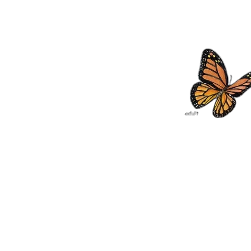 animal, creature, flower, crown transparent PNG cut-out