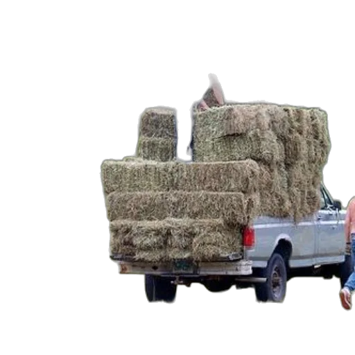 car, animal, food, weapon transparent PNG cut-out