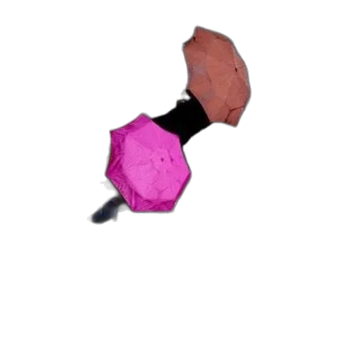 umbrella, flower, jewelry, hat transparent PNG cut-out