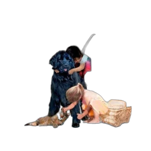 staff, weapon, animal, sword transparent PNG cut-out
