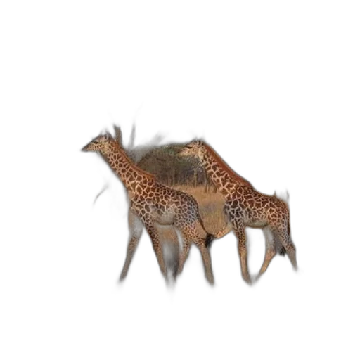 animal, creature, dragon, crown transparent PNG cut-out