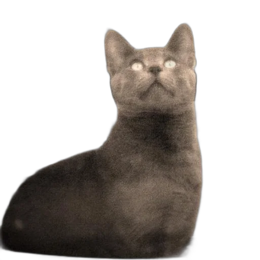 animal, creature, face, staff transparent PNG cut-out