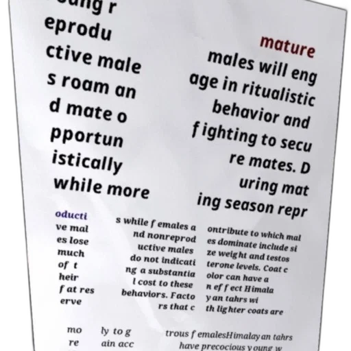 text-based, image, discussing, behavior transparent PNG cut-out