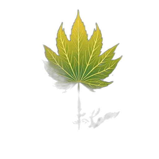 crown, flower, tree, umbrella transparent PNG cut-out