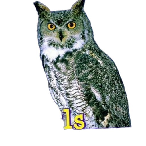 animal, staff, face, photorealistic transparent PNG cut-out