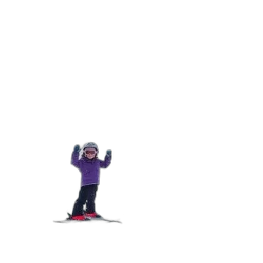 staff, robot, animal, creature transparent PNG cut-out