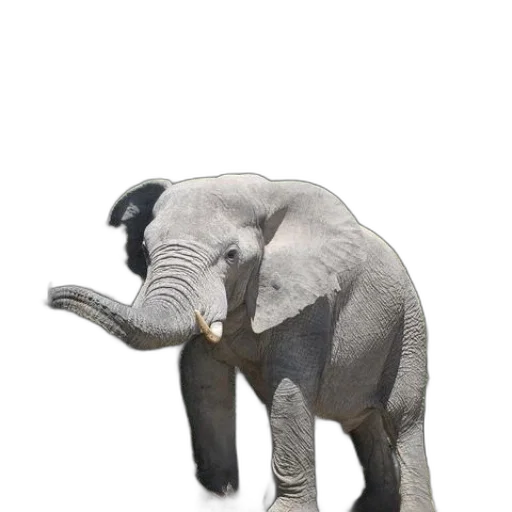 animal, creature, staff, weapon transparent PNG cut-out