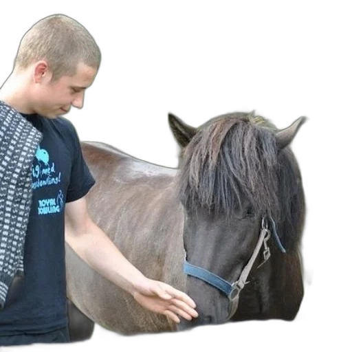 animal, creature, staff, hair transparent PNG cut-out