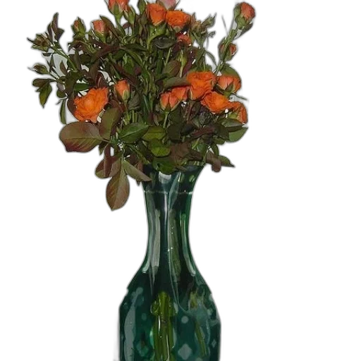 bottle, crown, flower, staff transparent PNG cut-out