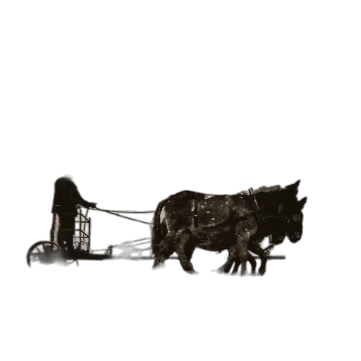 animal, furniture, car, weapon transparent PNG cut-out