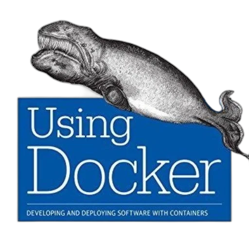 using, docker, developing, deploying transparent PNG cut-out