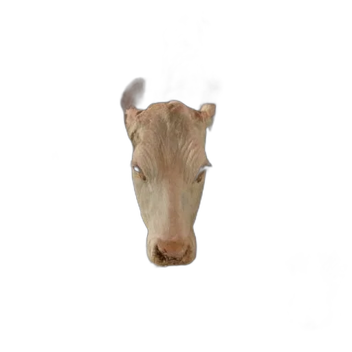 animal, creature, face, mask transparent PNG cut-out