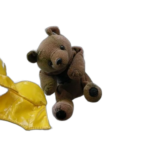 underwater, forest, teddy, bear transparent PNG cut-out