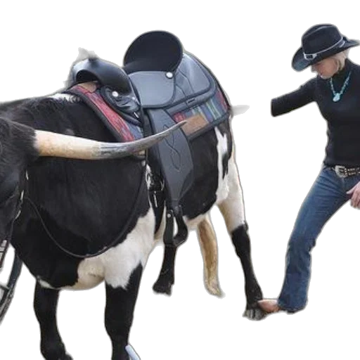 animal, woman, black, shirt transparent PNG cut-out
