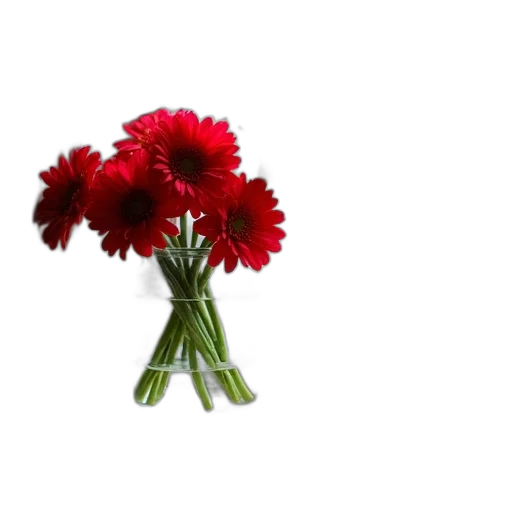 flower, crown, weapon, food transparent PNG cut-out