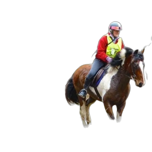 animal, photorealistic, two, people transparent PNG cut-out