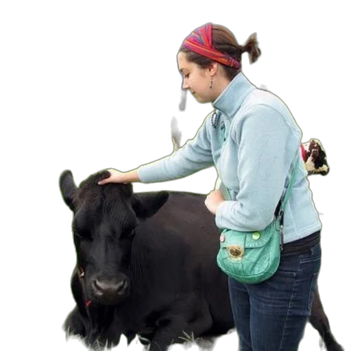 animal, staff, photorealistic, woman transparent PNG cut-out