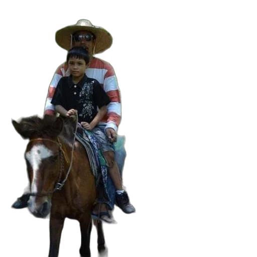 hat, animal, staff, concept art transparent PNG cut-out