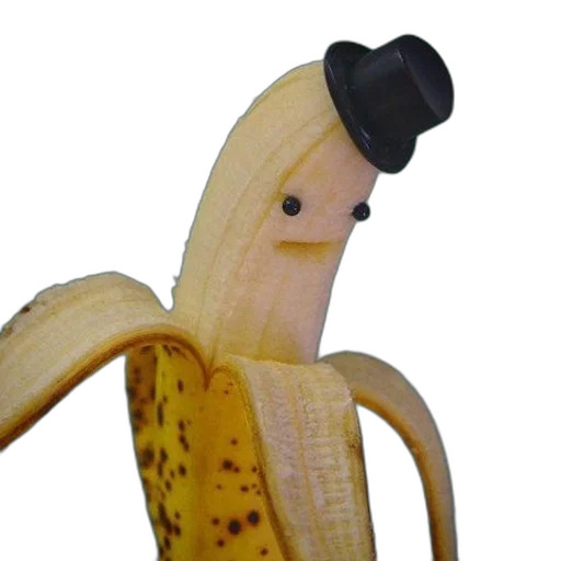 hat, animal, staff, food transparent PNG cut-out