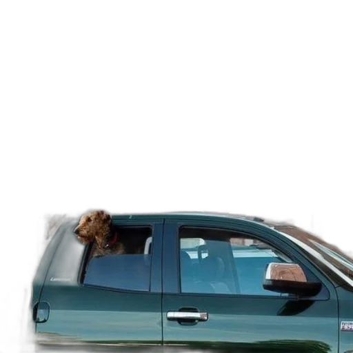 car, animal, staff, hair transparent PNG cut-out