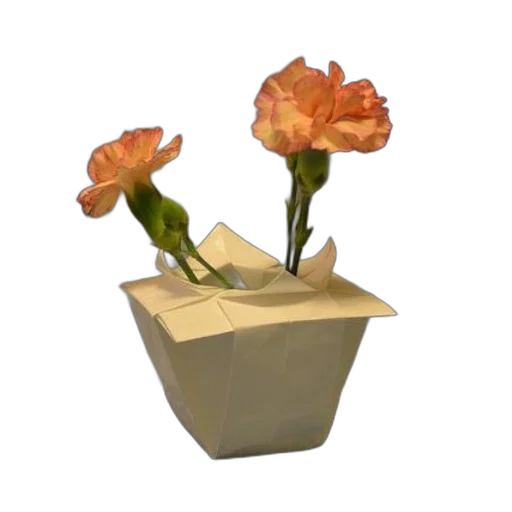 flower, crown, furniture, jewelry transparent PNG cut-out