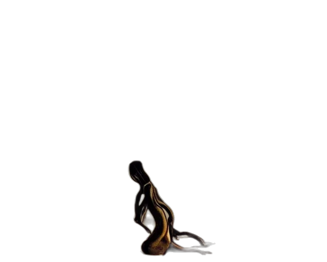 staff, hair, shoes, jewelry transparent PNG cut-out